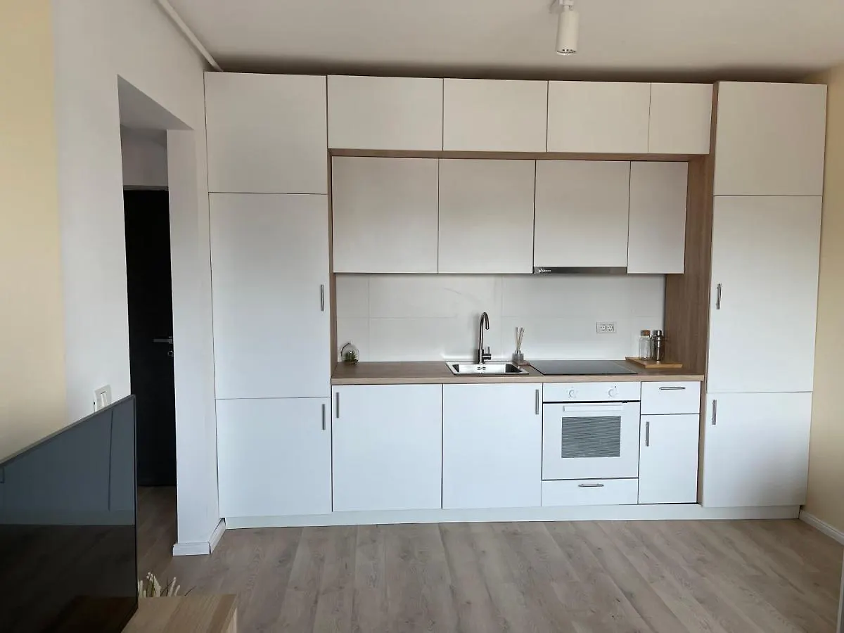 Diamond Luxury Apartment Near Presidential Palace Bucarest